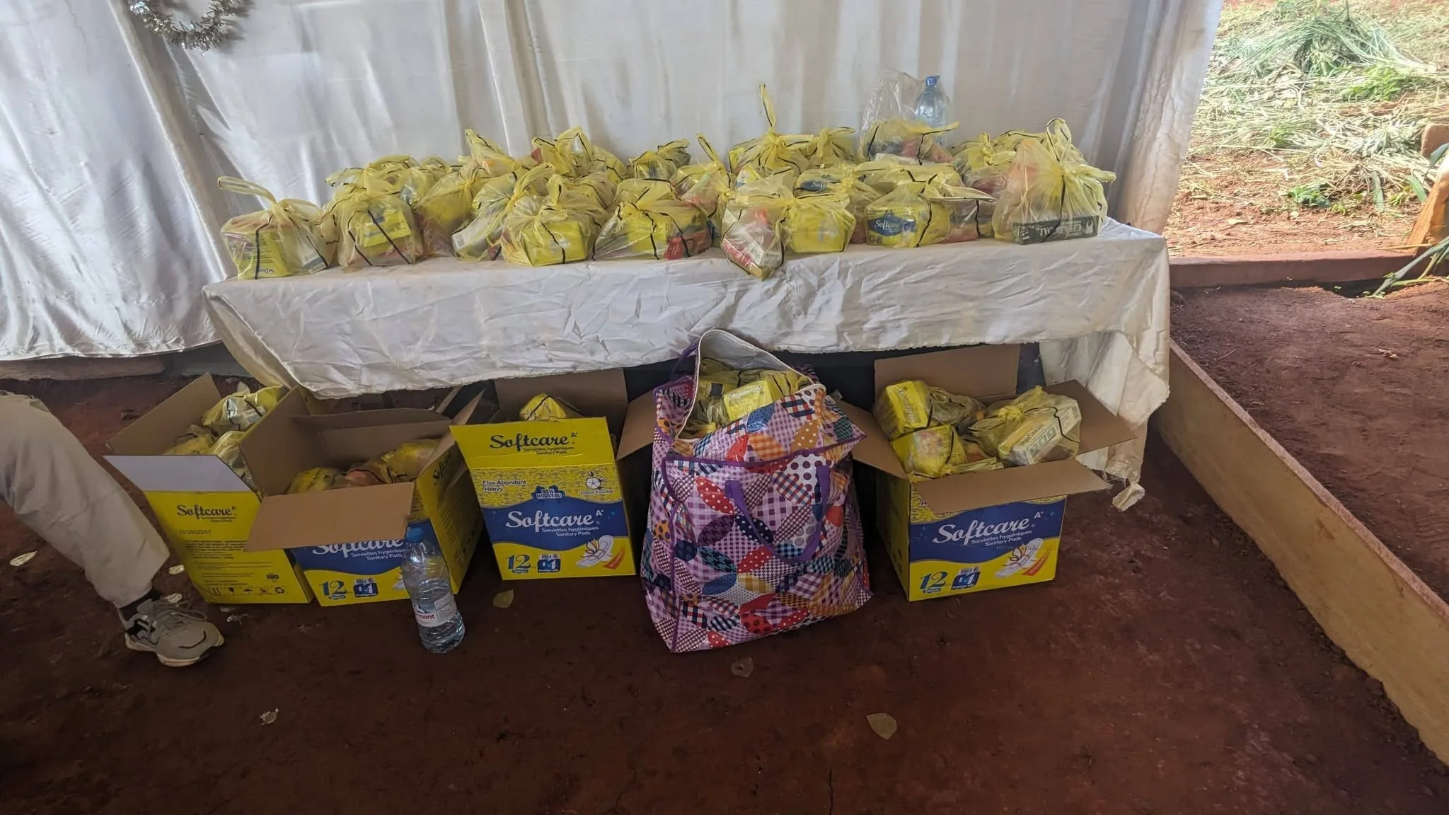 Journée de sensibilisation à Mehanda I (Mfou)